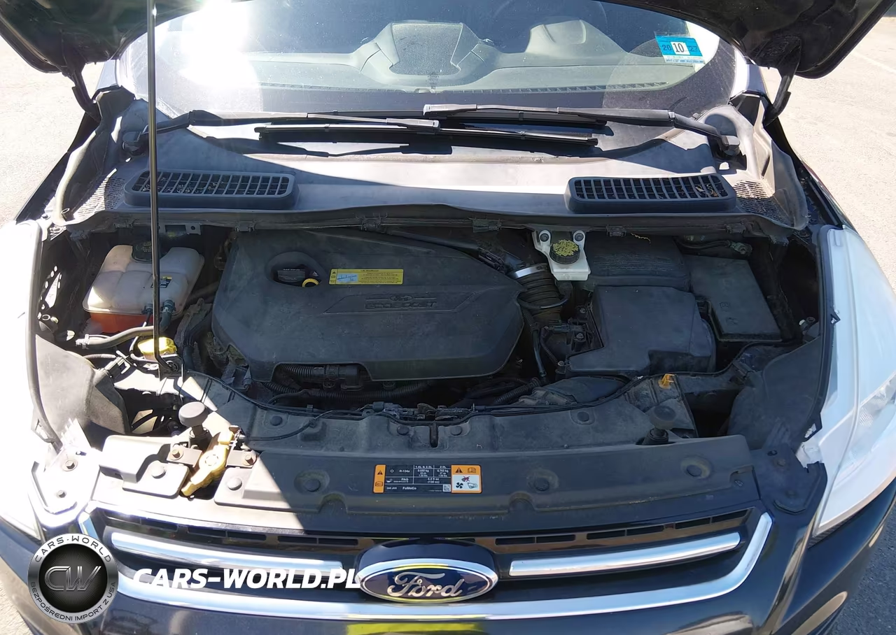 2013 Ford Escape Sel VIN:1FMCU0HX3DUB20159 - 10