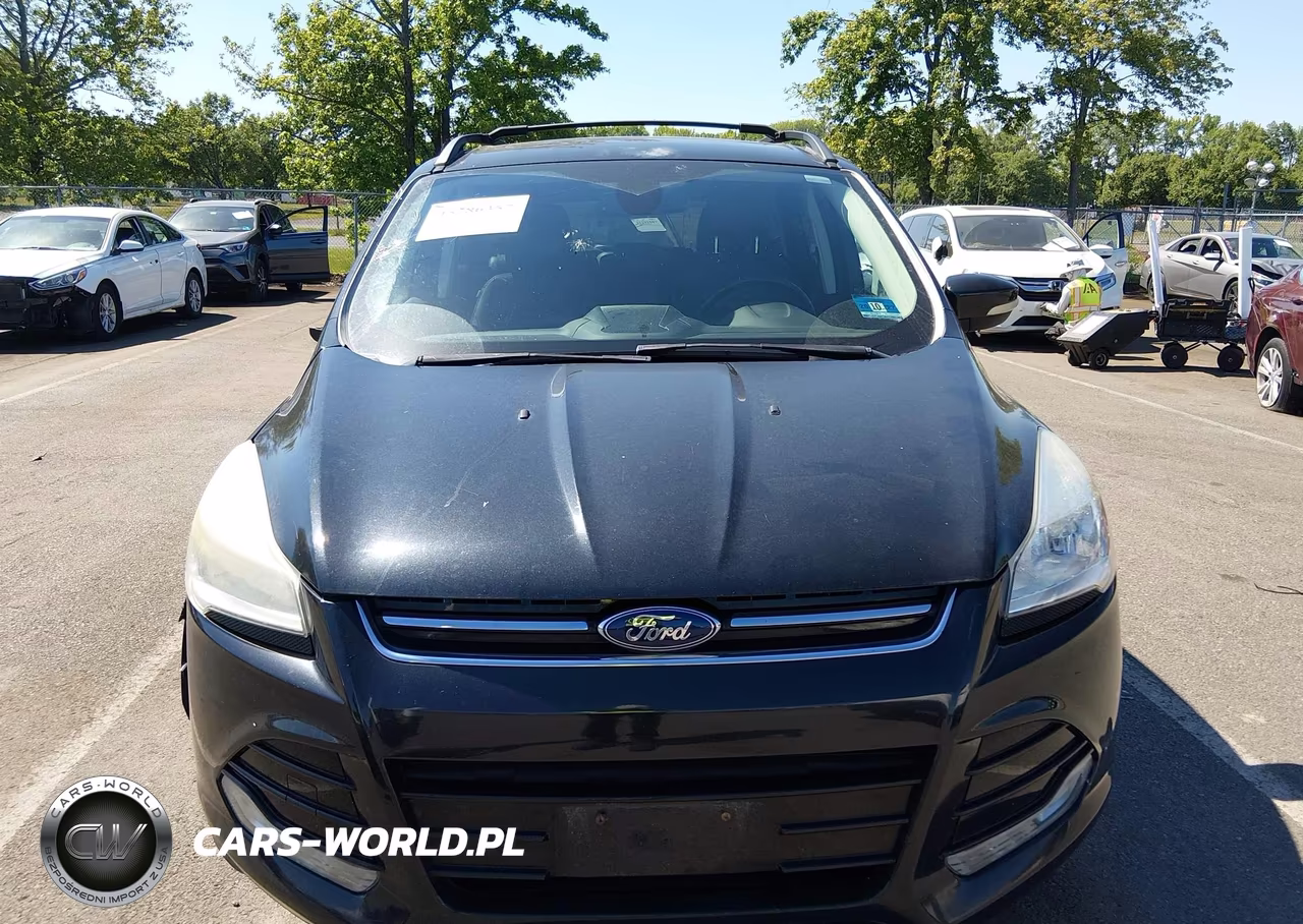 2013 Ford Escape Sel VIN:1FMCU0HX3DUB20159 - 12