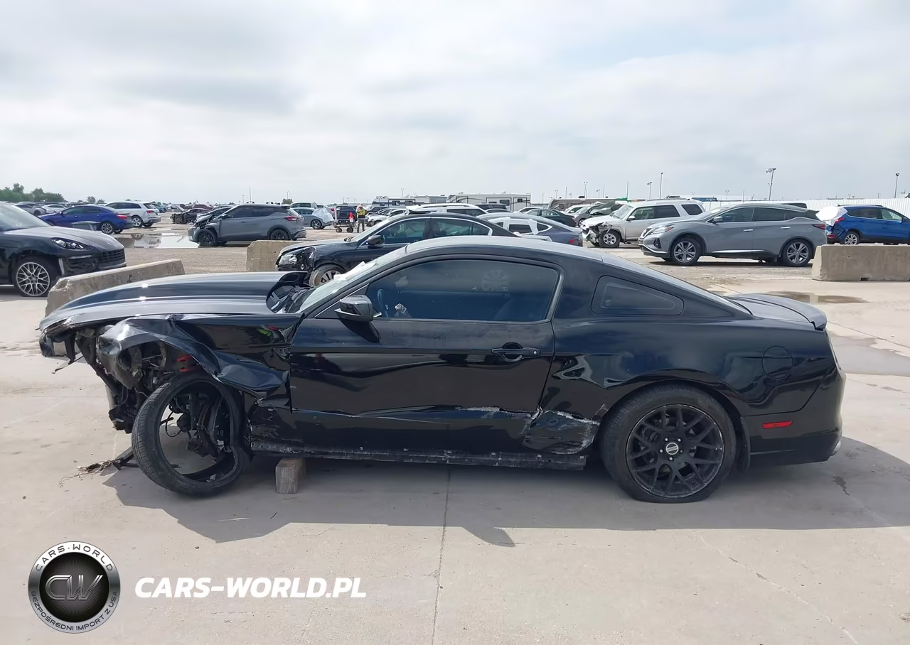 2014 Ford Mustang Gt VIN:1ZVBP8CFXE5291441 - 15