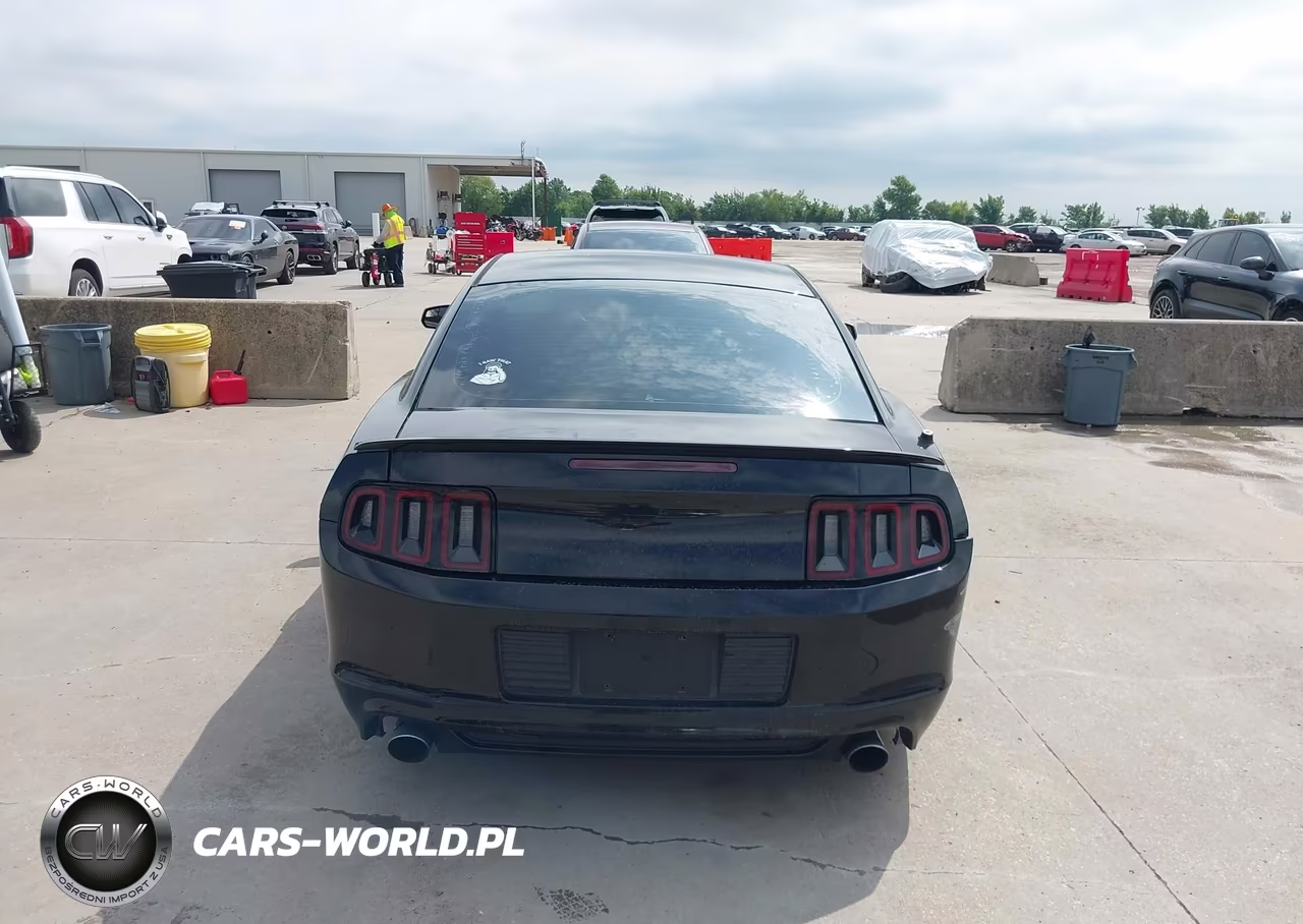 2014 Ford Mustang Gt VIN:1ZVBP8CFXE5291441 - 17