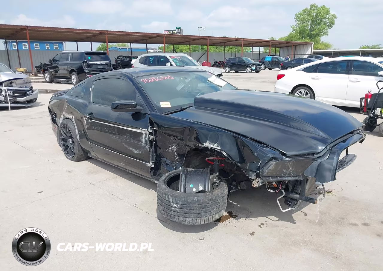 2014 Ford Mustang Gt VIN:1ZVBP8CFXE5291441 - 19