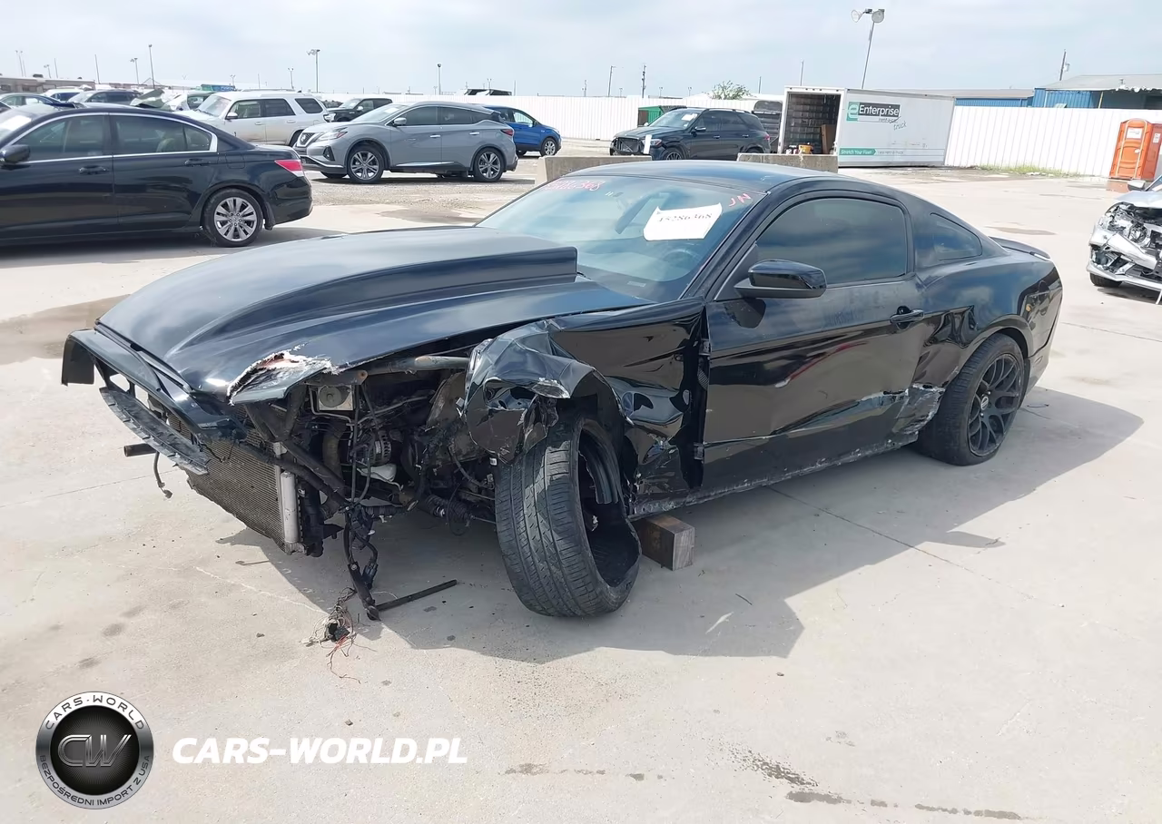 2014 Ford Mustang Gt VIN:1ZVBP8CFXE5291441 - 2