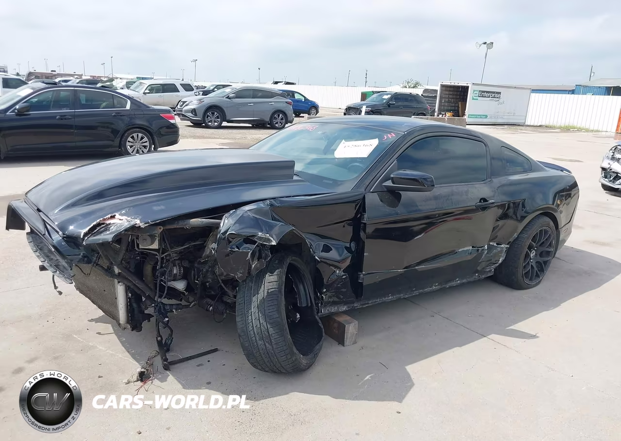 2014 Ford Mustang Gt VIN:1ZVBP8CFXE5291441 - 20