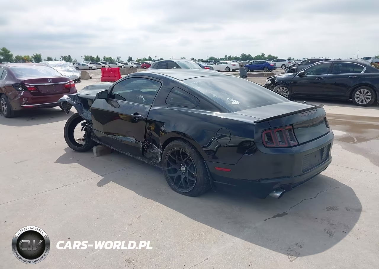 2014 Ford Mustang Gt VIN:1ZVBP8CFXE5291441 - 3