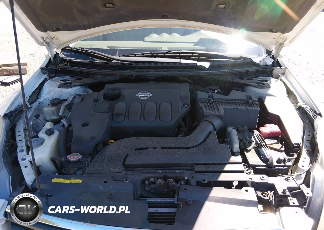 2009 Nissan Altima 2.5 S VIN:1N4AL21E39N521673 - 10
