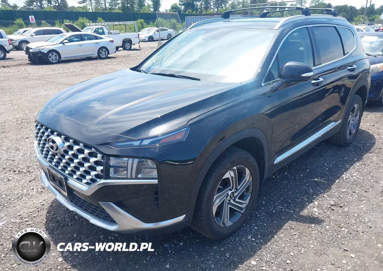 2023 Hyundai Santa Fe Sel VIN:5NMS3DAJ9PH622136 - 2