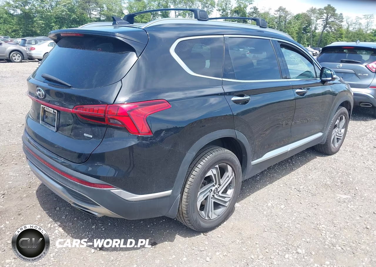 2023 Hyundai Santa Fe Sel VIN:5NMS3DAJ9PH622136 - 4