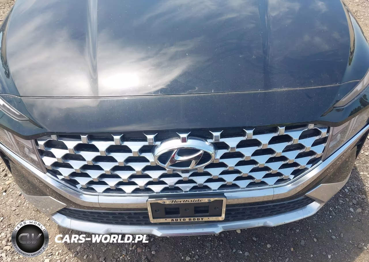 2023 Hyundai Santa Fe Sel VIN:5NMS3DAJ9PH622136 - 6