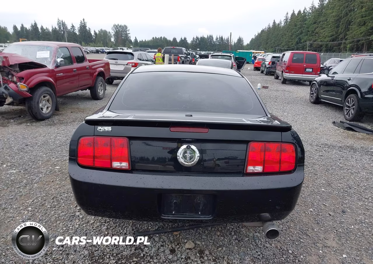 2007 Ford Mustang V6 Deluxe-V6 Premium VIN:1ZVFT80N775308627 - 16
