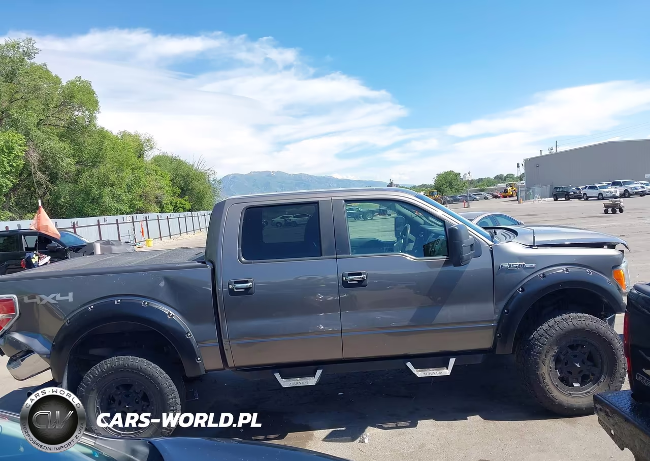 2010 Ford F-150 Fx4-Harley-Davidson-King Ranch-Lariat-Platinum-Xl-Xlt VIN:1FTFW1EV4AFD43556 - 13