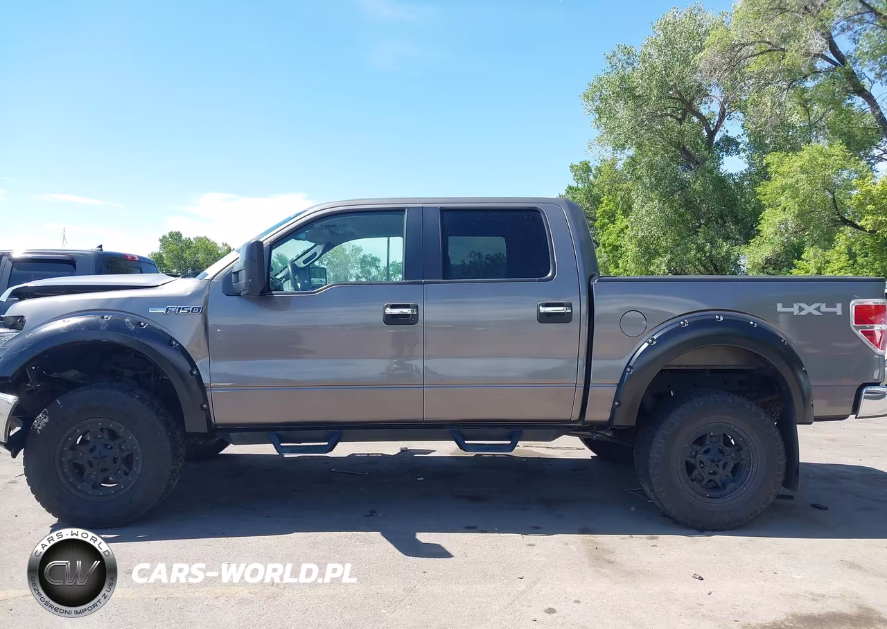 2010 Ford F-150 Fx4-Harley-Davidson-King Ranch-Lariat-Platinum-Xl-Xlt VIN:1FTFW1EV4AFD43556 - 14