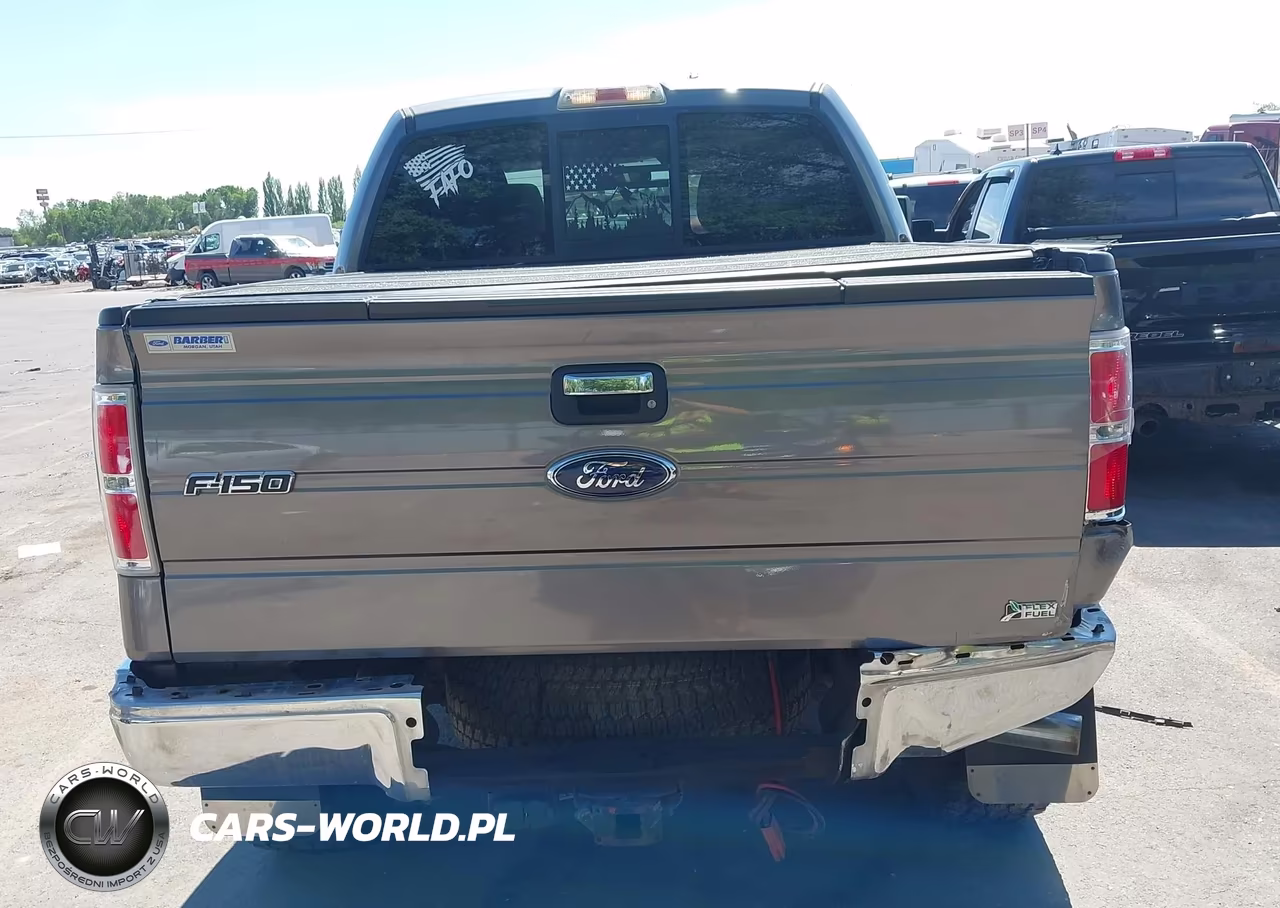 2010 Ford F-150 Fx4-Harley-Davidson-King Ranch-Lariat-Platinum-Xl-Xlt VIN:1FTFW1EV4AFD43556 - 16