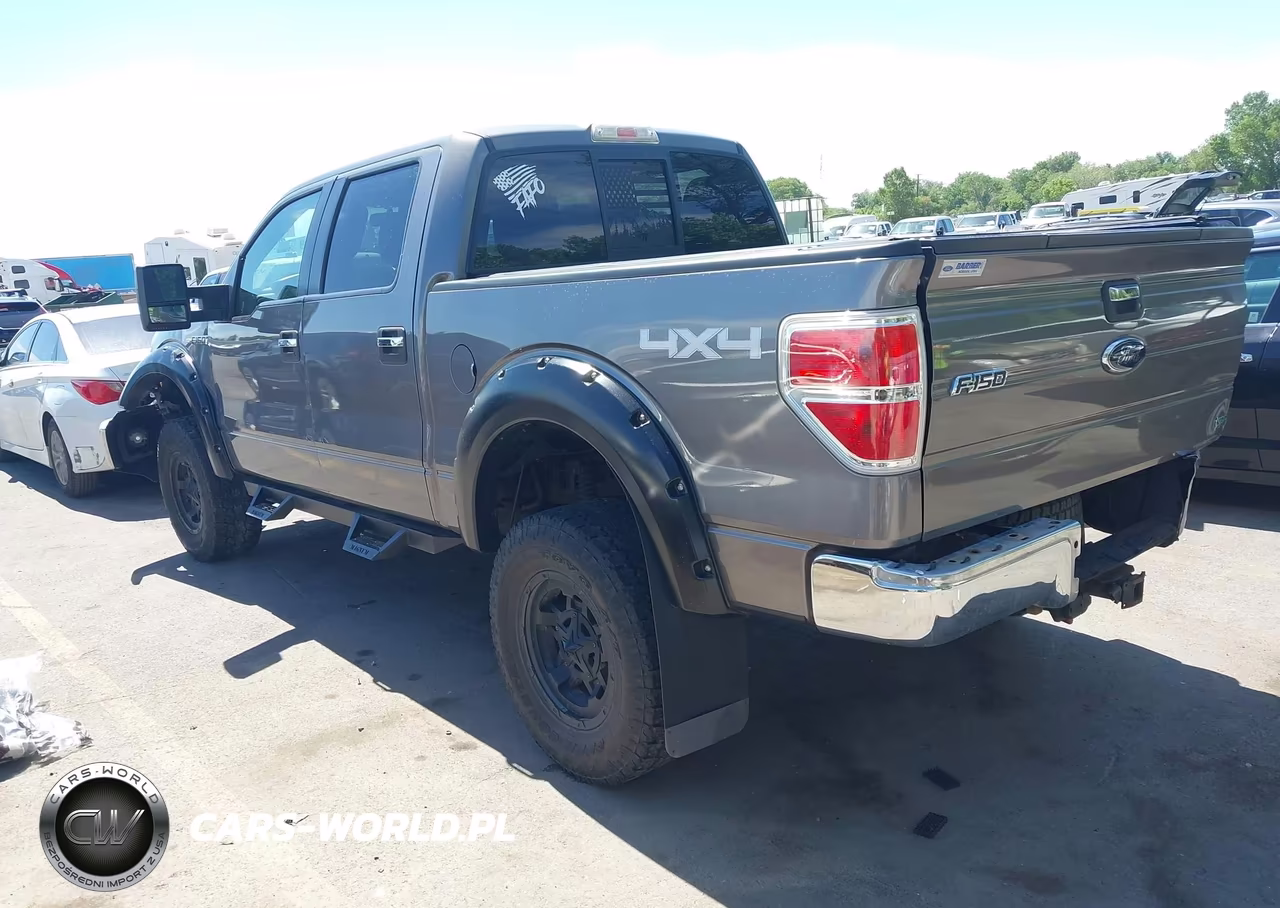 2010 Ford F-150 Fx4-Harley-Davidson-King Ranch-Lariat-Platinum-Xl-Xlt VIN:1FTFW1EV4AFD43556 - 3