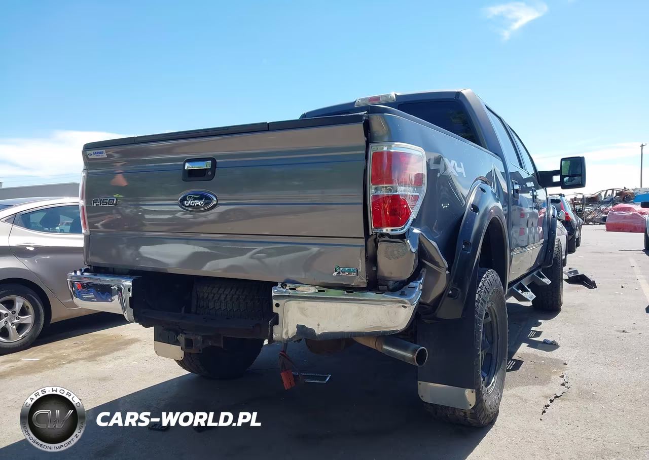 2010 Ford F-150 Fx4-Harley-Davidson-King Ranch-Lariat-Platinum-Xl-Xlt VIN:1FTFW1EV4AFD43556 - 6