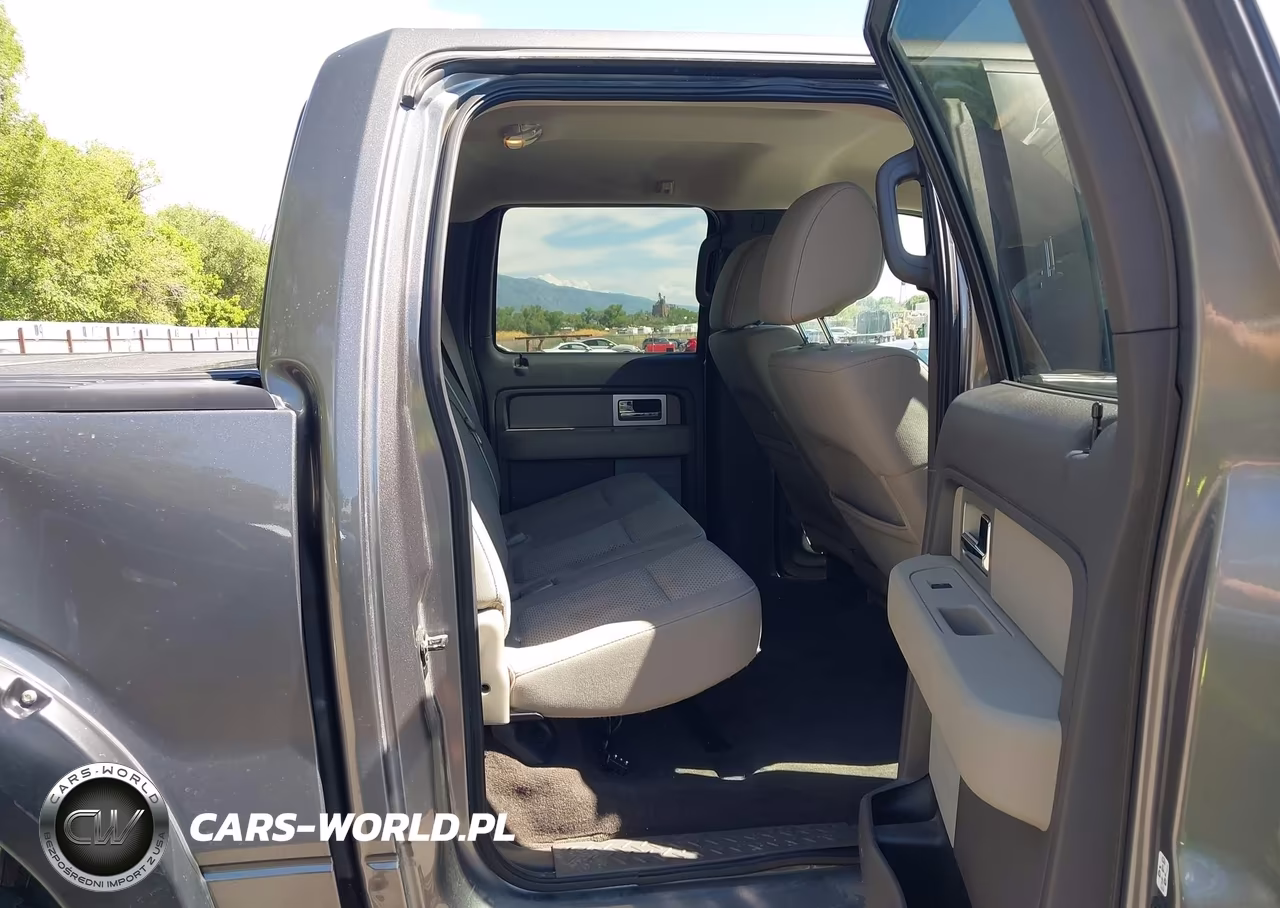 2010 Ford F-150 Fx4-Harley-Davidson-King Ranch-Lariat-Platinum-Xl-Xlt VIN:1FTFW1EV4AFD43556 - 8