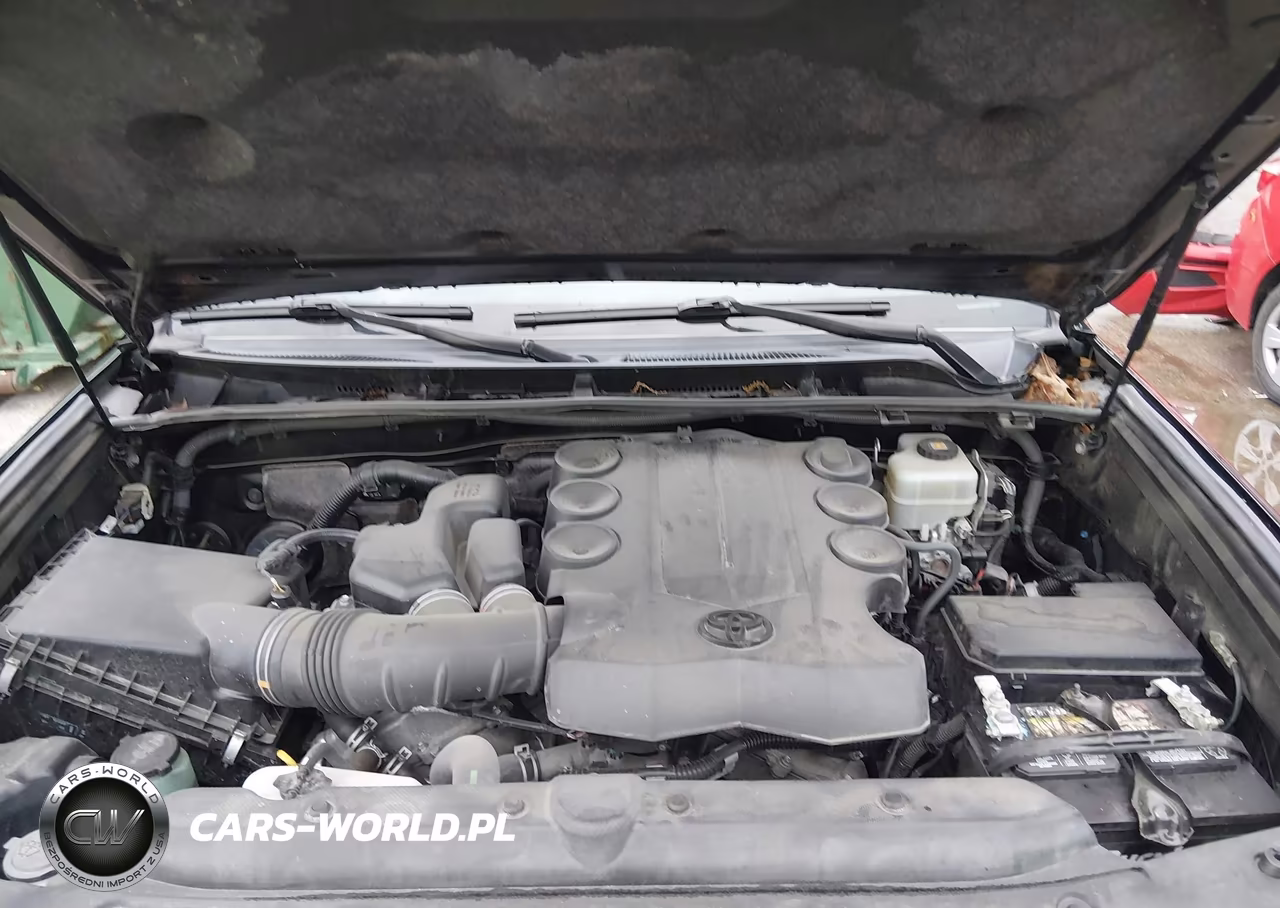 2019 Toyota 4Runner Trd Off Road Premium VIN:JTEBU5JR9K5646338 - 10