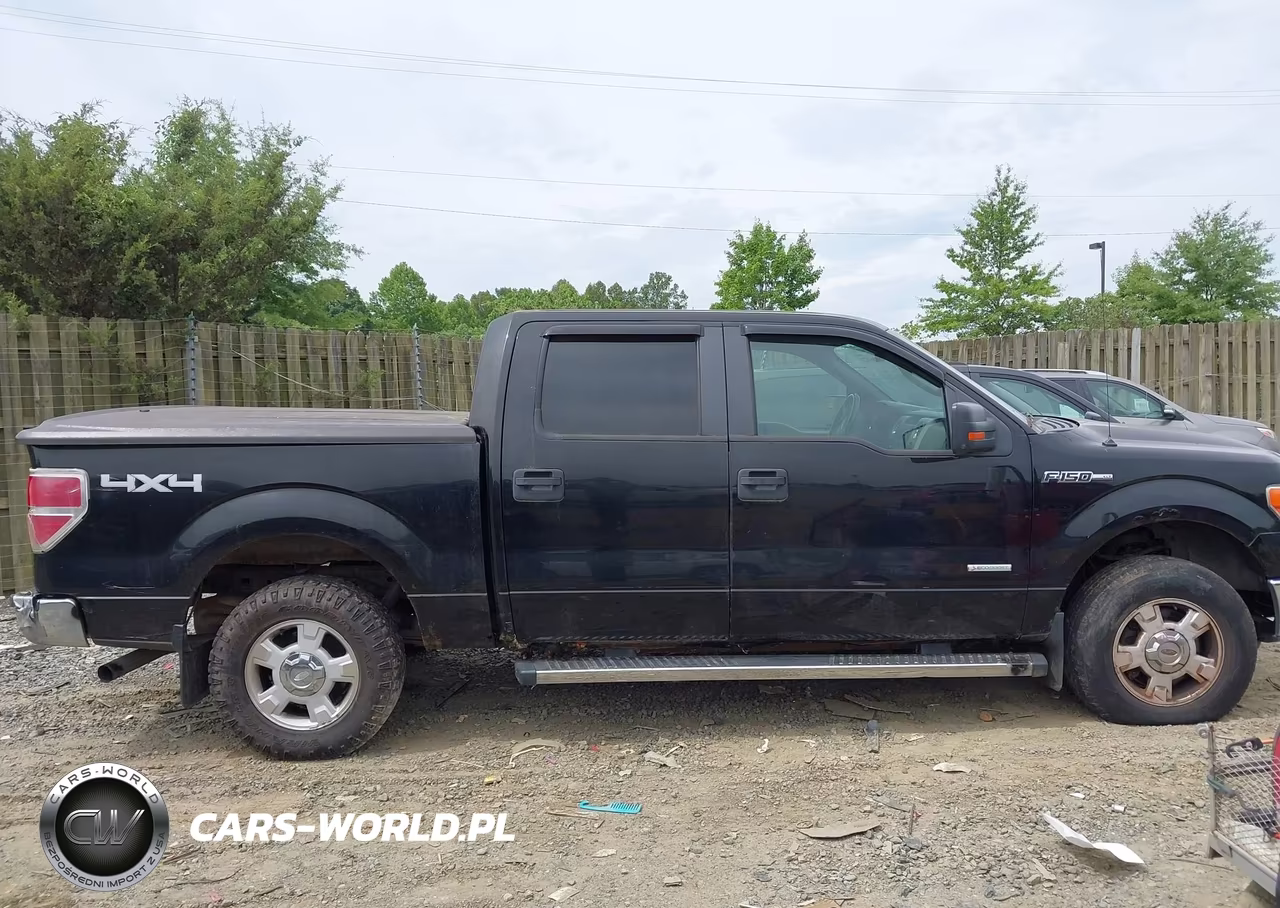 2011 Ford F-150 Xlt VIN:1FTFW1ET0BFD06116 - 13