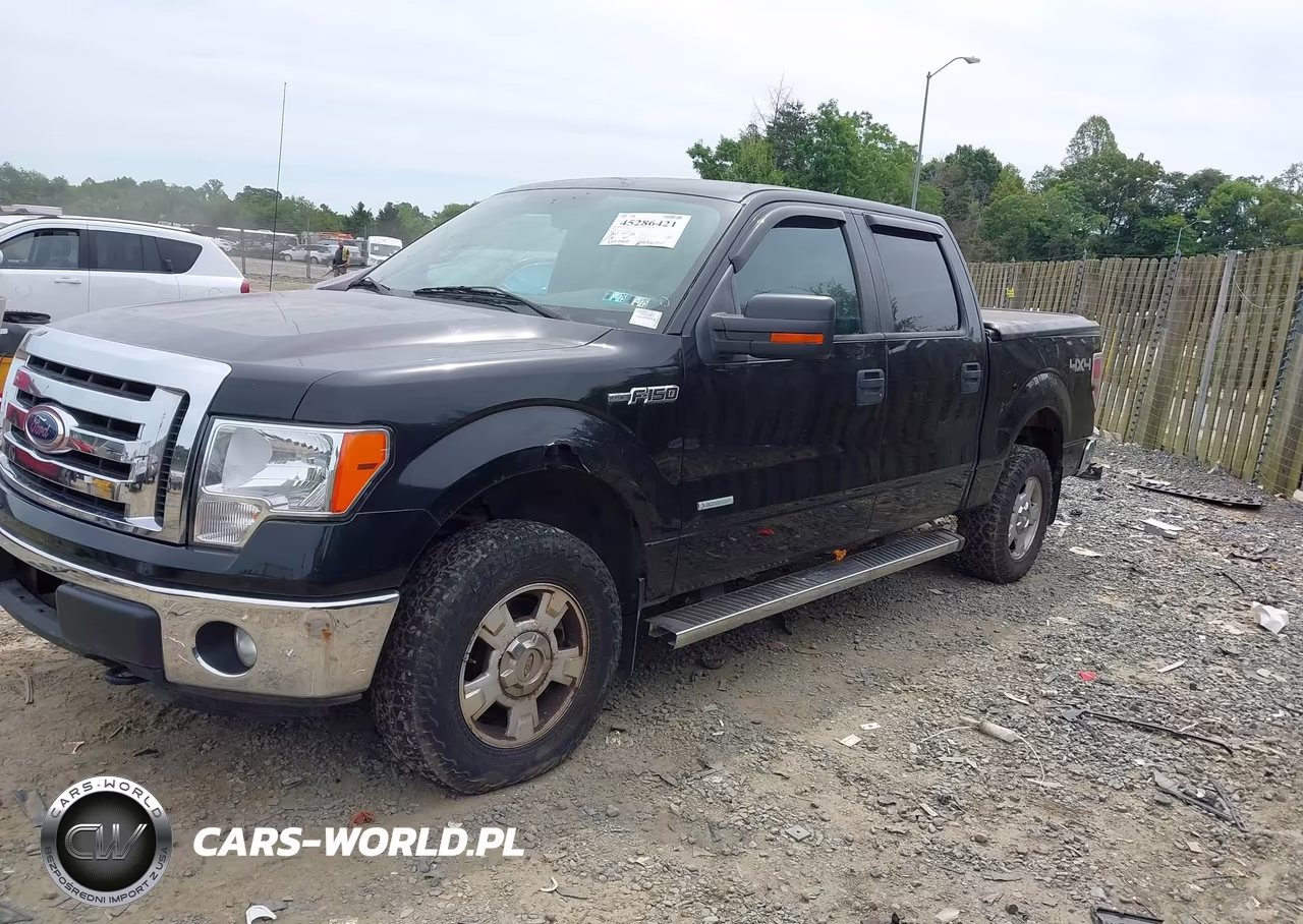 2011 Ford F-150 Xlt VIN:1FTFW1ET0BFD06116 - 14