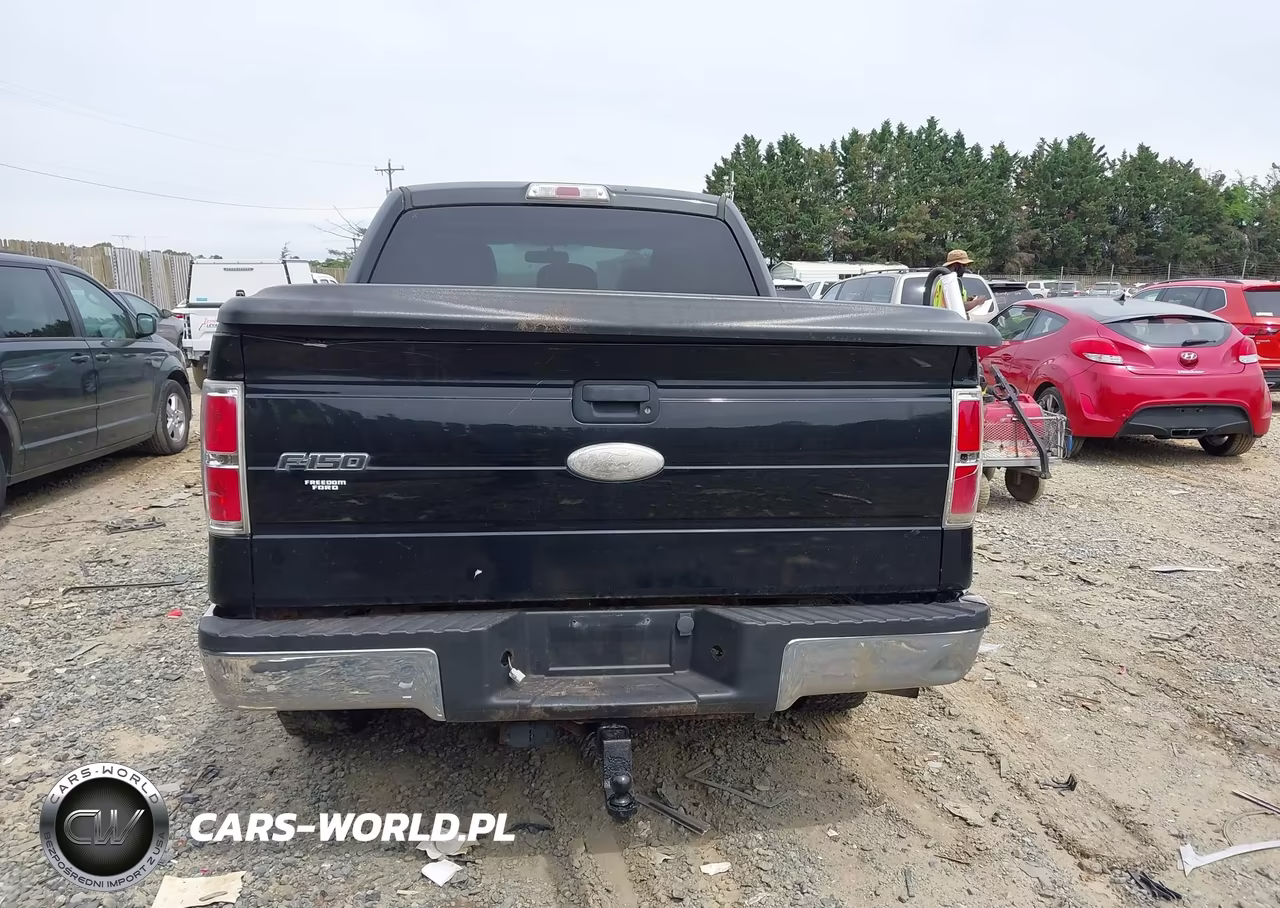 2011 Ford F-150 Xlt VIN:1FTFW1ET0BFD06116 - 16