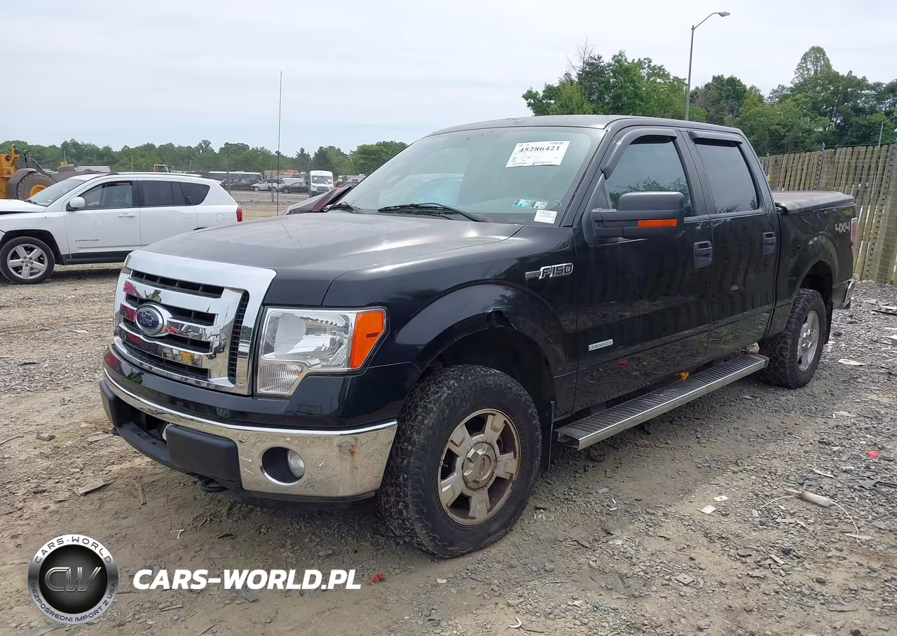 2011 Ford F-150 Xlt VIN:1FTFW1ET0BFD06116 - 2