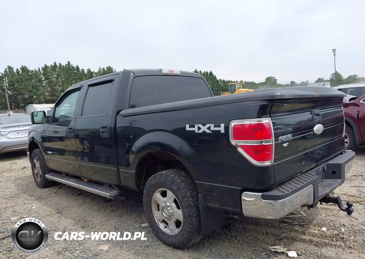 2011 Ford F-150 Xlt VIN:1FTFW1ET0BFD06116 - 3