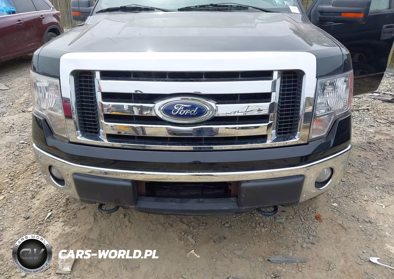 2011 Ford F-150 Xlt VIN:1FTFW1ET0BFD06116 - 6