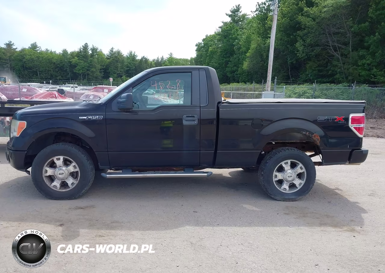 2009 Ford F-150 Stx-Xl-Xlt VIN:1FTRF14859KC75490 - 12