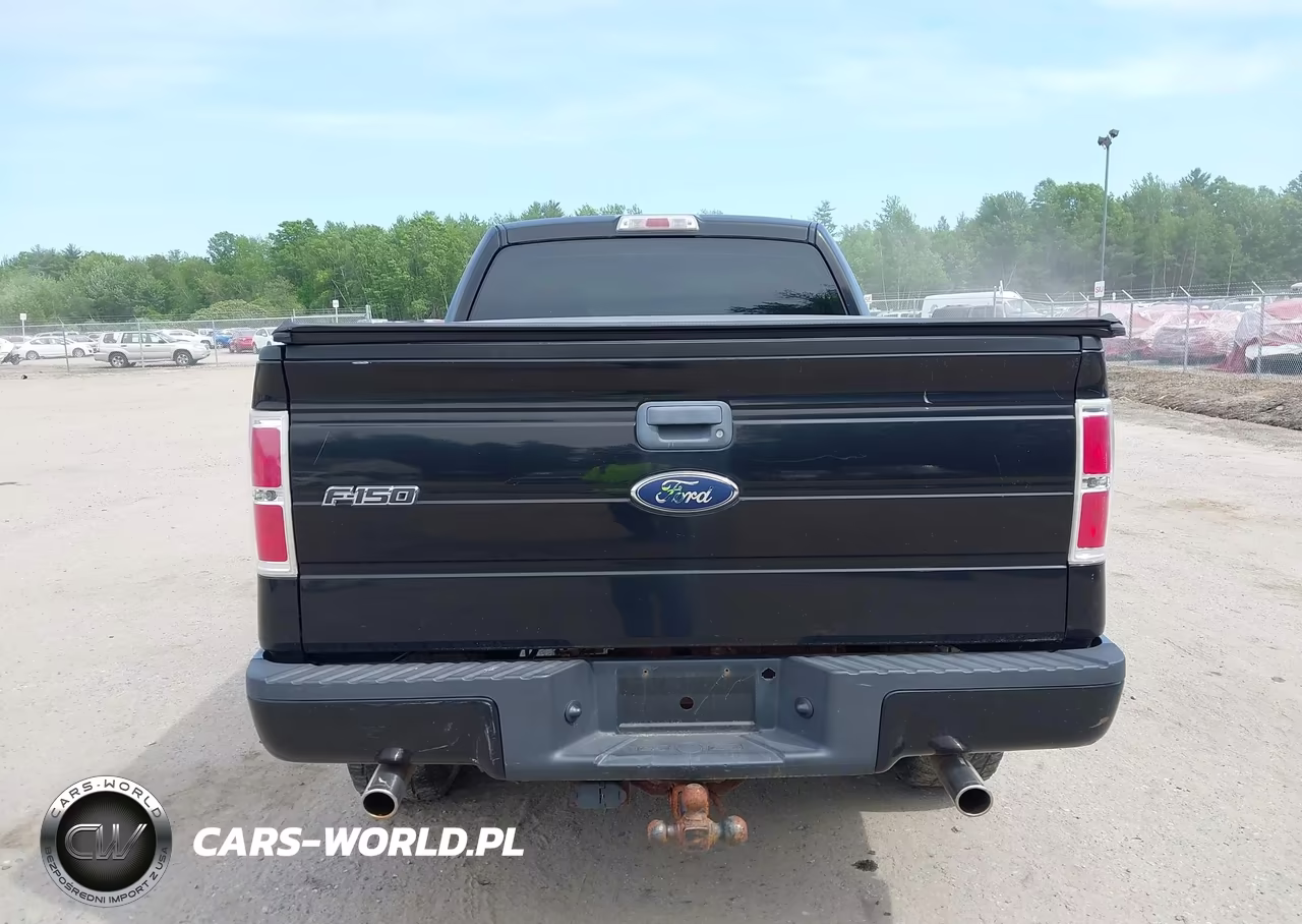 2009 Ford F-150 Stx-Xl-Xlt VIN:1FTRF14859KC75490 - 15