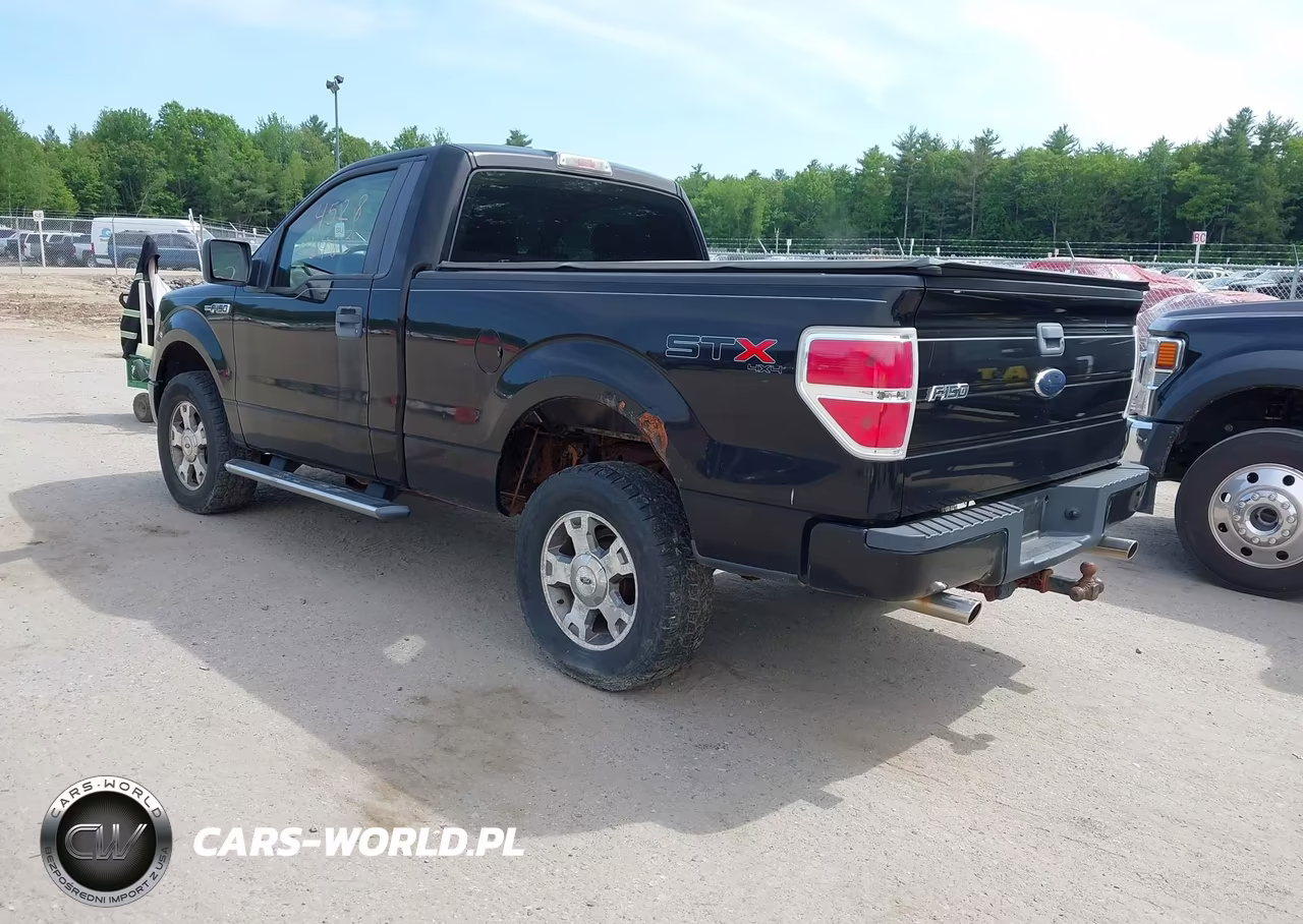 2009 Ford F-150 Stx-Xl-Xlt VIN:1FTRF14859KC75490 - 3