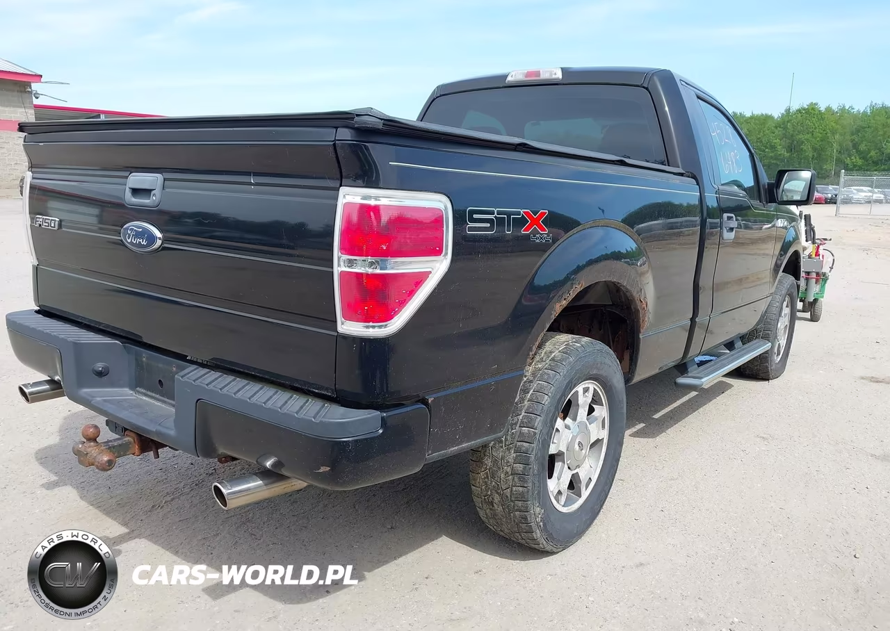 2009 Ford F-150 Stx-Xl-Xlt VIN:1FTRF14859KC75490 - 4