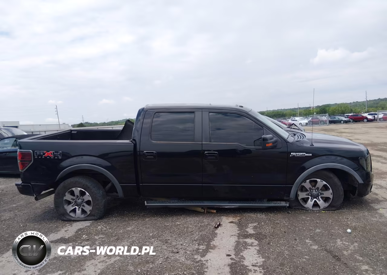2011 Ford F-150 Fx4 VIN:1FTFW1EF0BFD38056 - 13