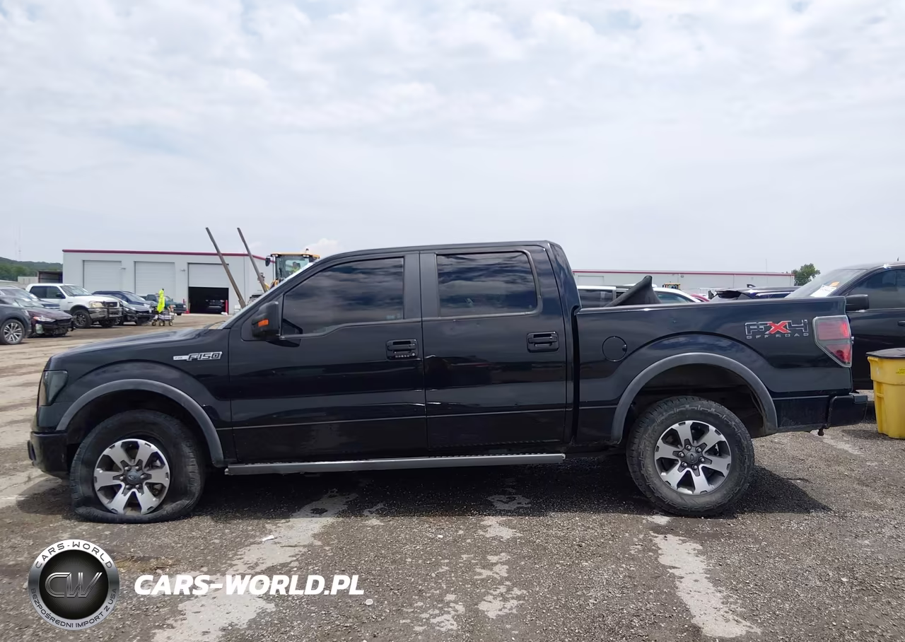 2011 Ford F-150 Fx4 VIN:1FTFW1EF0BFD38056 - 14