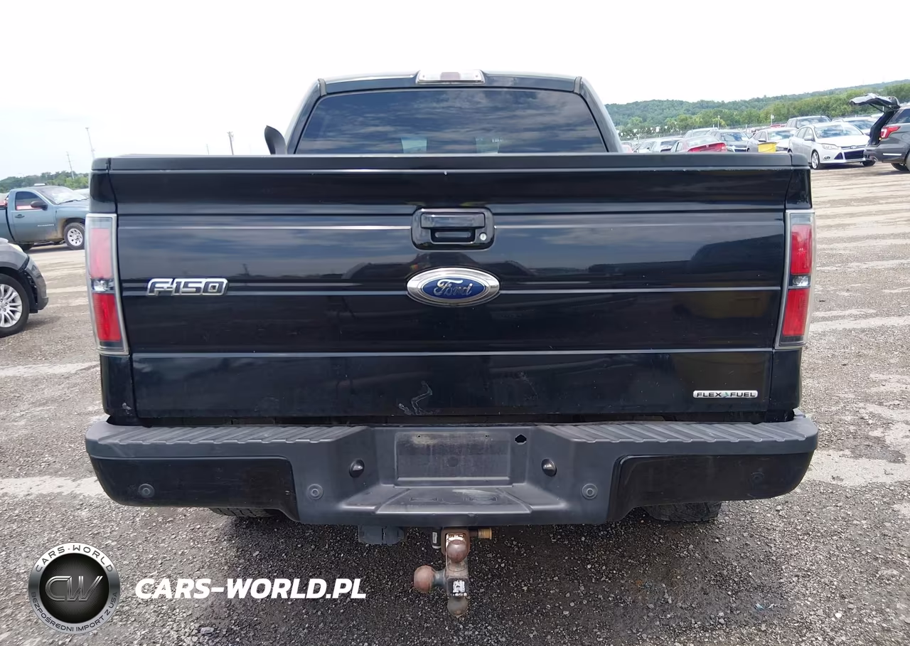 2011 Ford F-150 Fx4 VIN:1FTFW1EF0BFD38056 - 16