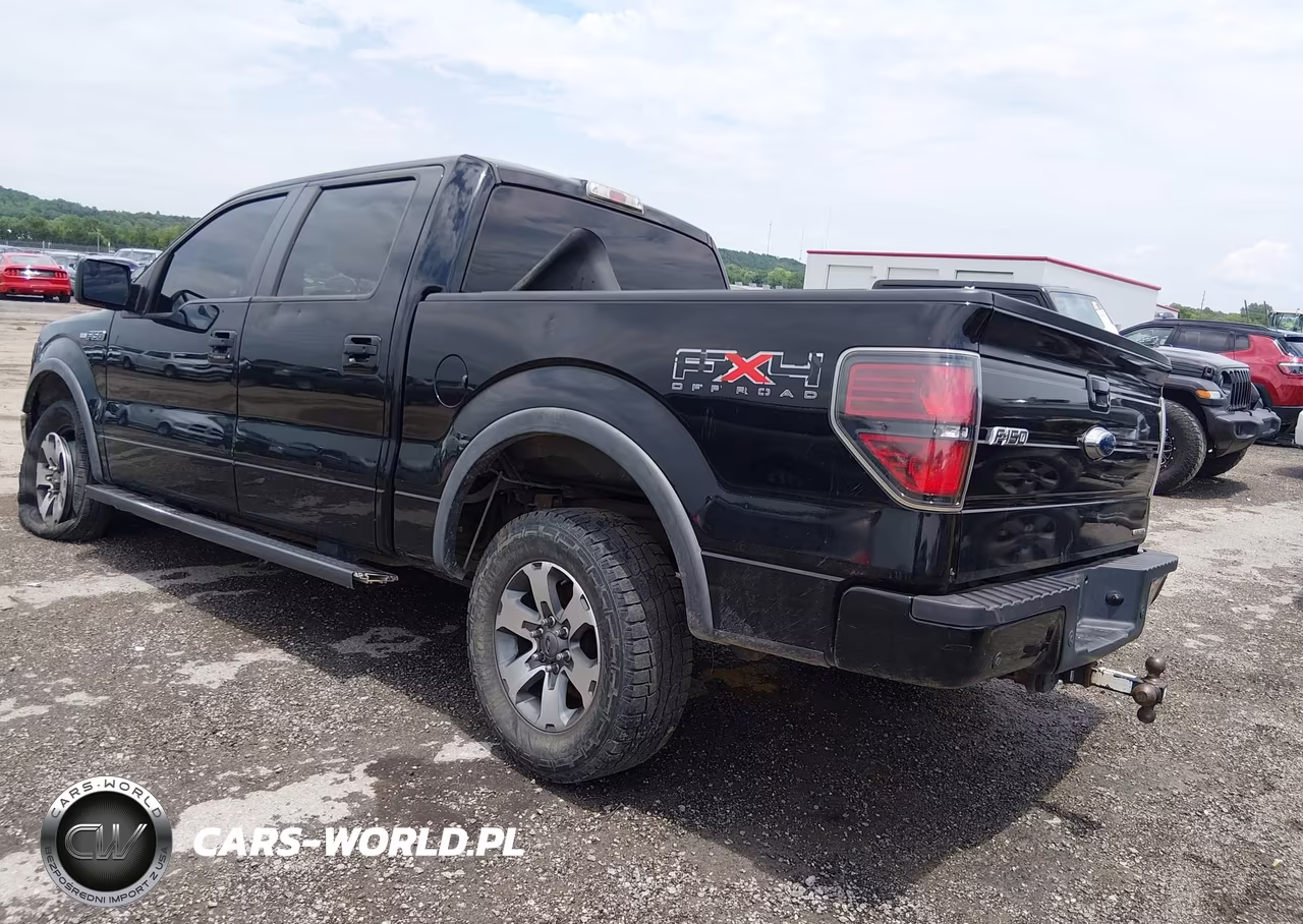 2011 Ford F-150 Fx4 VIN:1FTFW1EF0BFD38056 - 3