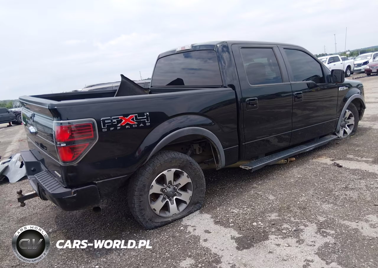 2011 Ford F-150 Fx4 VIN:1FTFW1EF0BFD38056 - 4