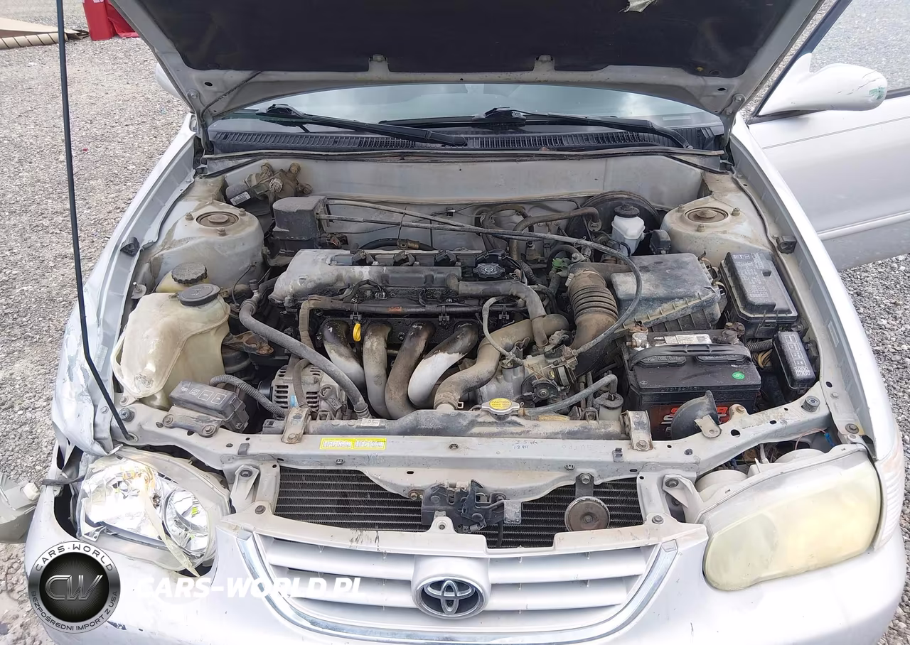 2002 Toyota Corolla S VIN:1NXBR12E62Z634272 - 10