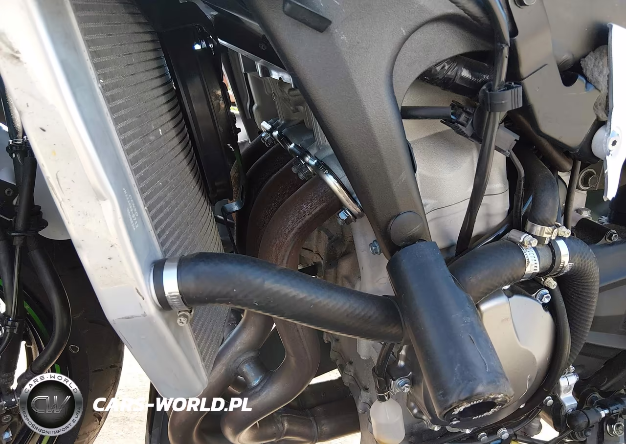 2021 Kawasaki Zx636 K VIN:JKBZXJH15MA009174 - 9