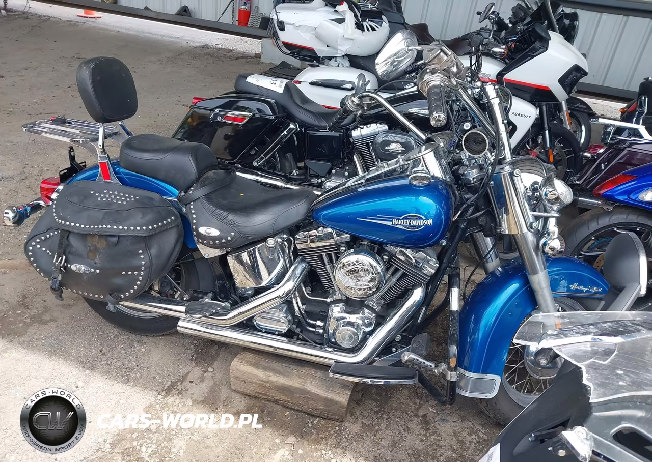 2006 Harley-Davidson Flstci VIN:1HD1BWB126Y055484 - 13