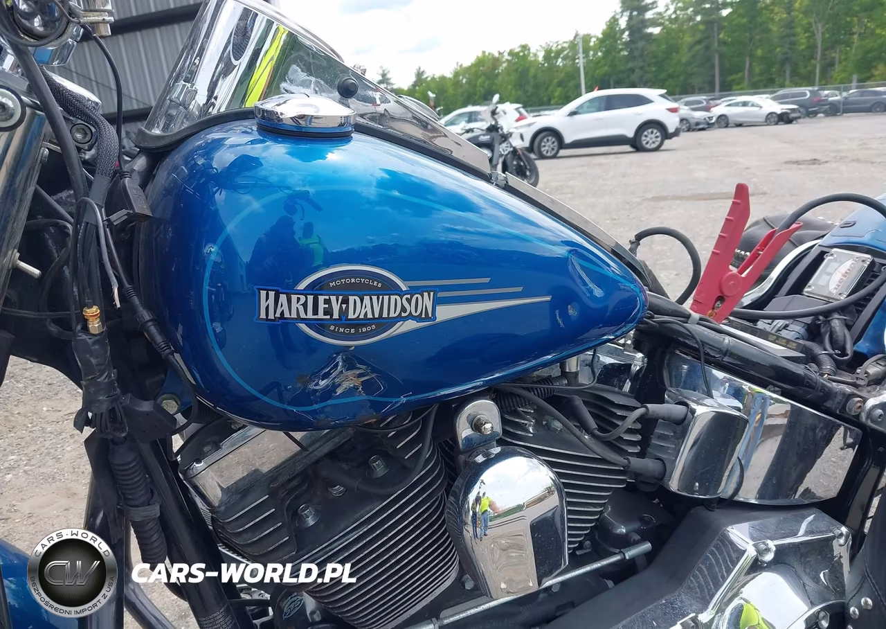 2006 Harley-Davidson Flstci VIN:1HD1BWB126Y055484 - 16