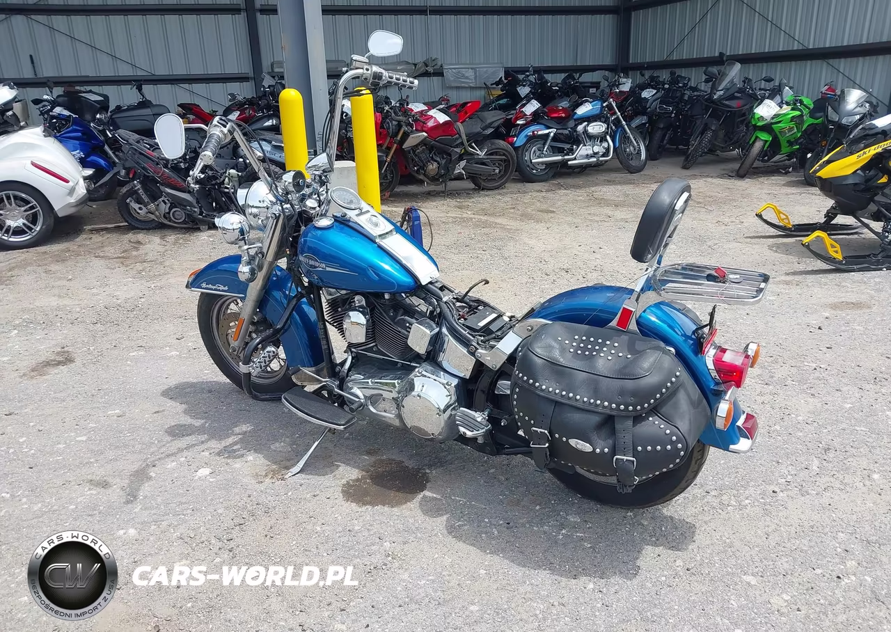2006 Harley-Davidson Flstci VIN:1HD1BWB126Y055484 - 3