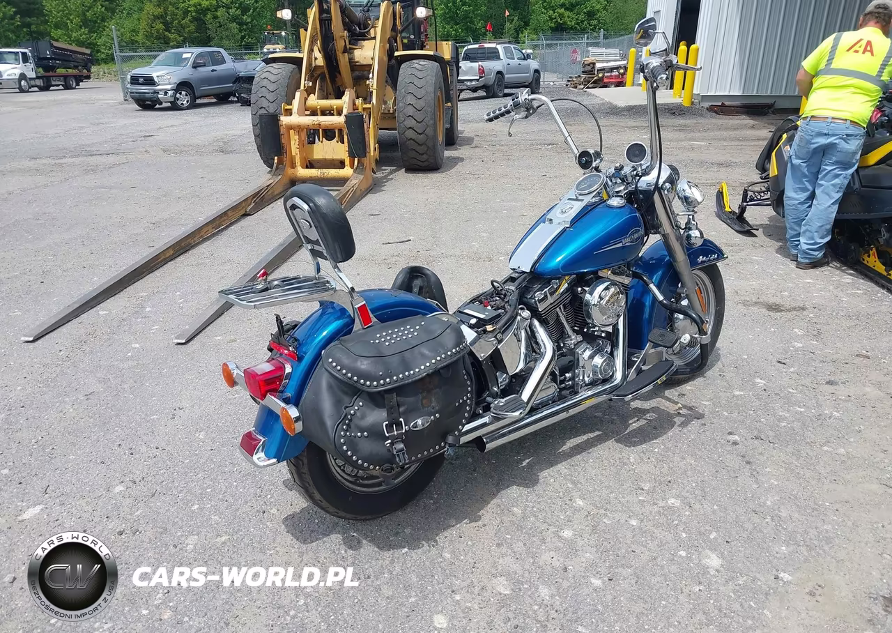 2006 Harley-Davidson Flstci VIN:1HD1BWB126Y055484 - 4
