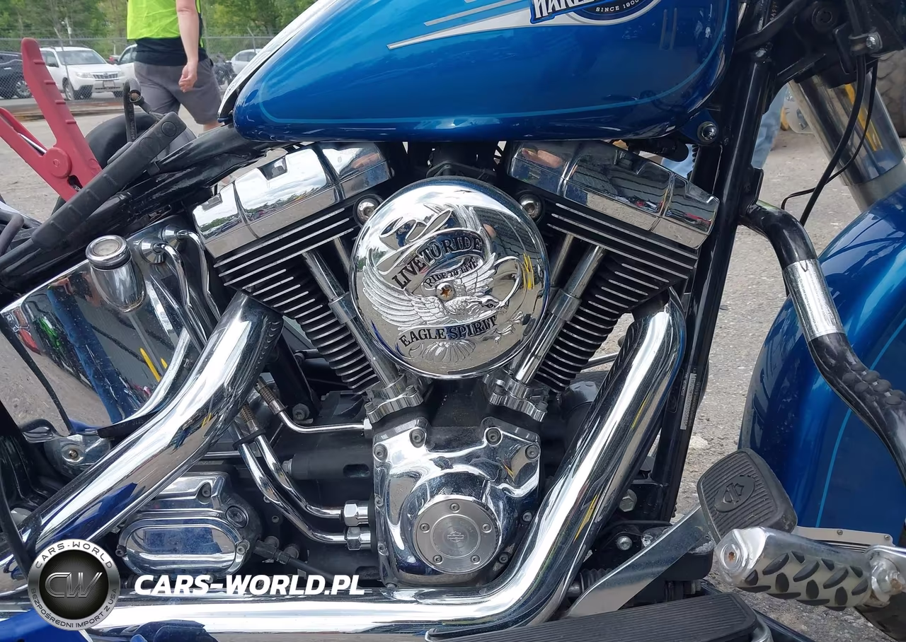 2006 Harley-Davidson Flstci VIN:1HD1BWB126Y055484 - 8
