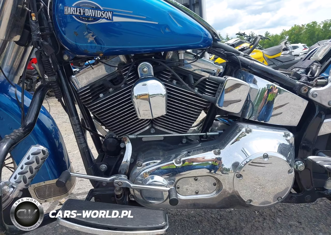 2006 Harley-Davidson Flstci VIN:1HD1BWB126Y055484 - 9