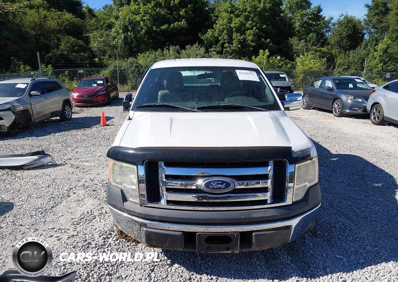 2010 Ford F-150 Fx2 Sport-Stx-Xl-Xlt VIN:1FTEX1C89AFA93298 - 12