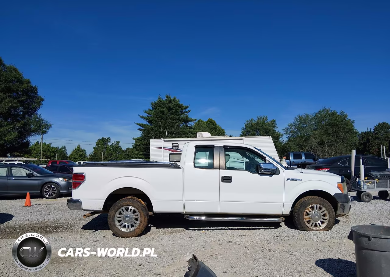 2010 Ford F-150 Fx2 Sport-Stx-Xl-Xlt VIN:1FTEX1C89AFA93298 - 13