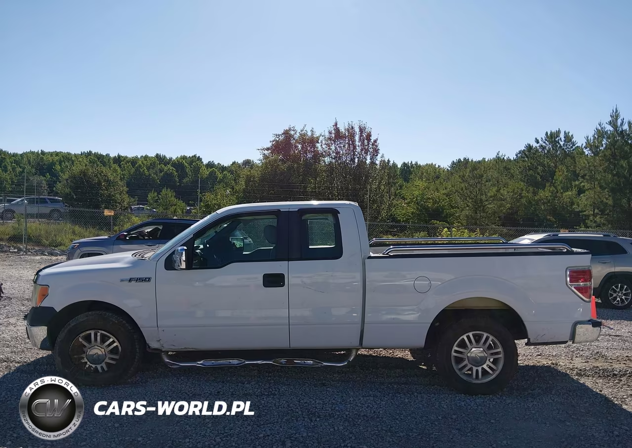 2010 Ford F-150 Fx2 Sport-Stx-Xl-Xlt VIN:1FTEX1C89AFA93298 - 14