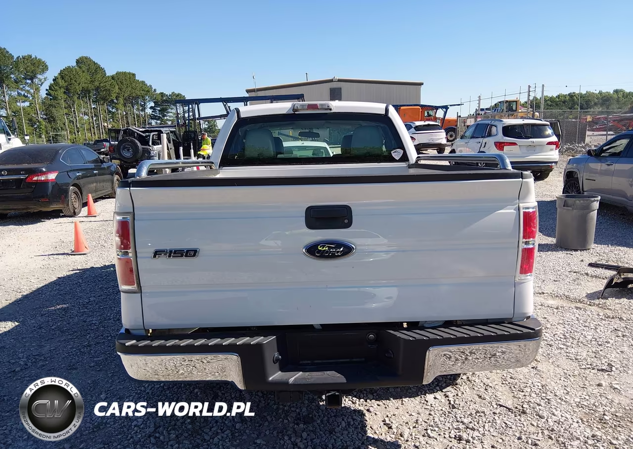 2010 Ford F-150 Fx2 Sport-Stx-Xl-Xlt VIN:1FTEX1C89AFA93298 - 16