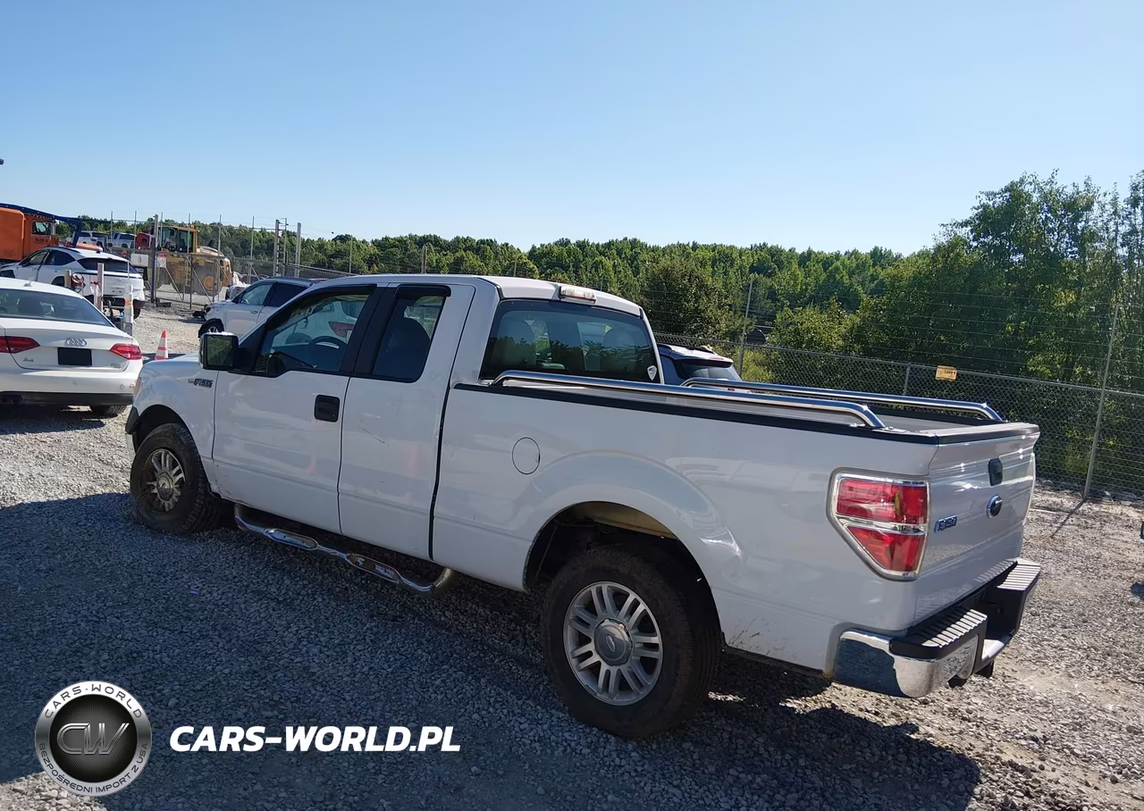 2010 Ford F-150 Fx2 Sport-Stx-Xl-Xlt VIN:1FTEX1C89AFA93298 - 3