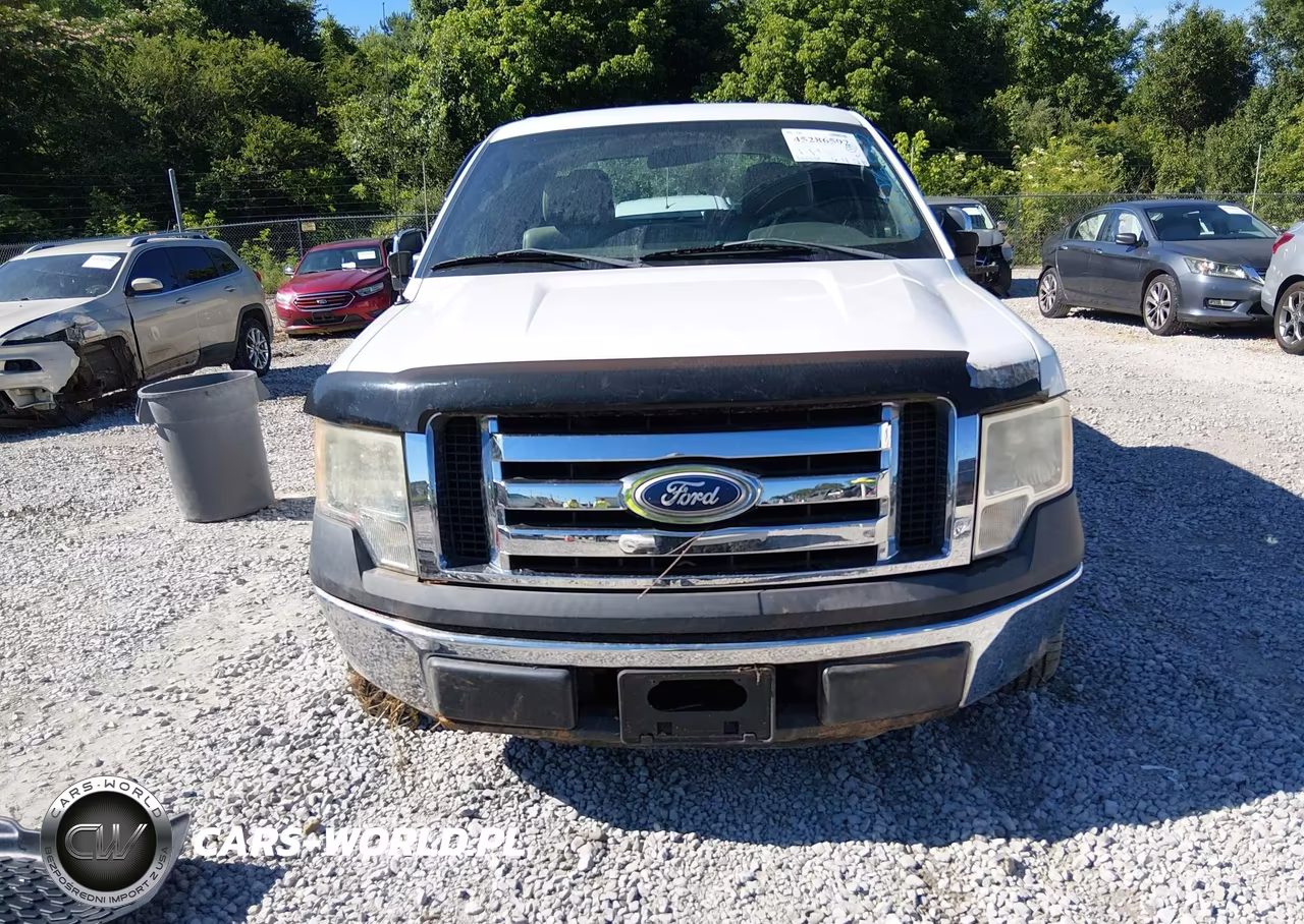 2010 Ford F-150 Fx2 Sport-Stx-Xl-Xlt VIN:1FTEX1C89AFA93298 - 6