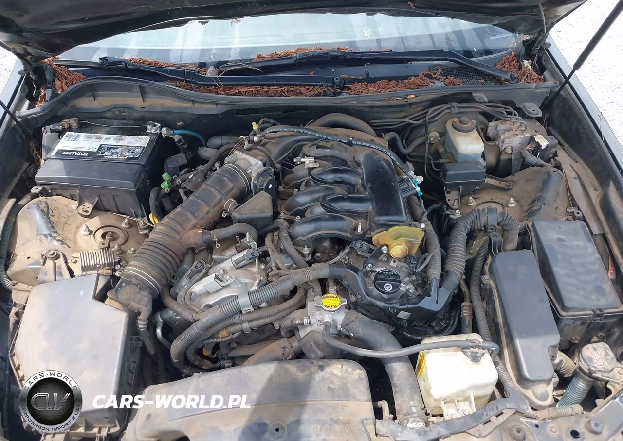 2006 Lexus Gs 300 VIN:JTHBH96S065017406 - 10